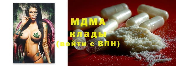 прущие грибы Каменногорск