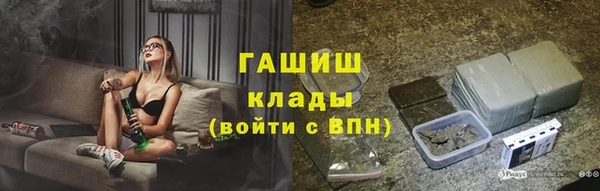 прущие грибы Каменногорск