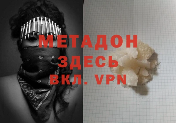 прущие грибы Каменногорск
