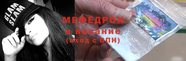 прущие грибы Каменногорск