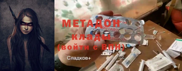 прущие грибы Каменногорск