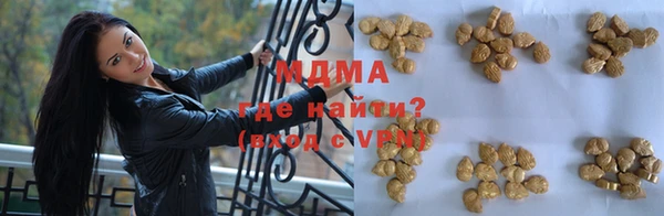 прущие грибы Каменногорск