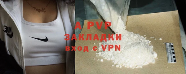 ПСИЛОЦИБИНОВЫЕ ГРИБЫ Каменка