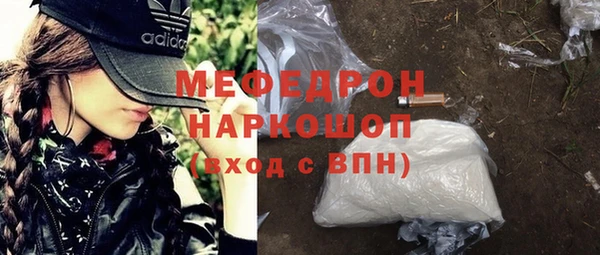 прущие грибы Каменногорск