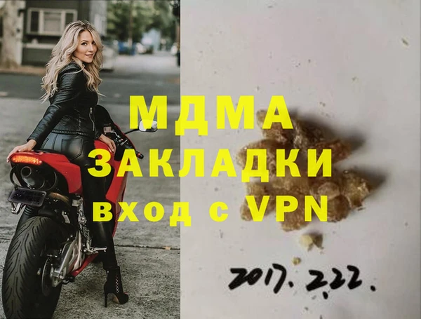 прущие грибы Каменногорск