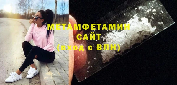 прущие грибы Каменногорск