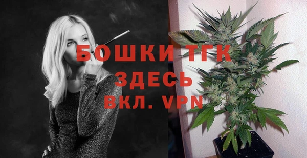 прущие грибы Каменногорск