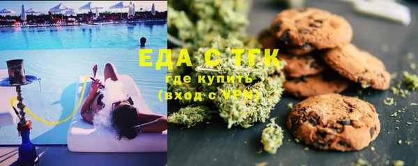 ПСИЛОЦИБИНОВЫЕ ГРИБЫ Каменка