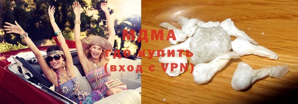 прущие грибы Каменногорск