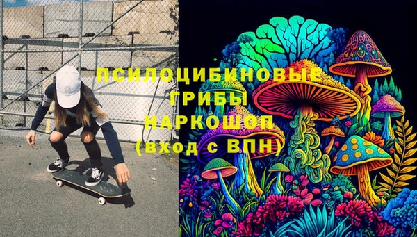 ПСИЛОЦИБИНОВЫЕ ГРИБЫ Каменка