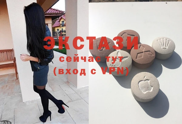 прущие грибы Каменногорск