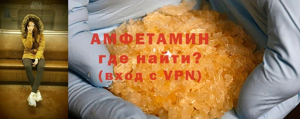 прущие грибы Каменногорск