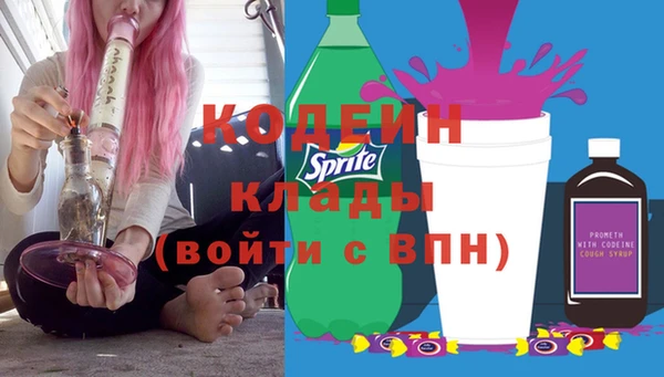 прущие грибы Каменногорск