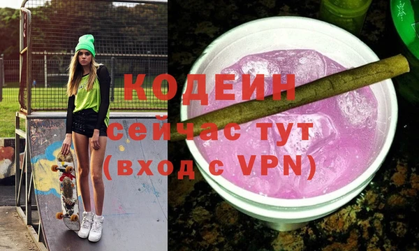 прущие грибы Каменногорск
