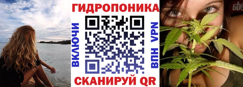 Канабис марихуана  Рудня 